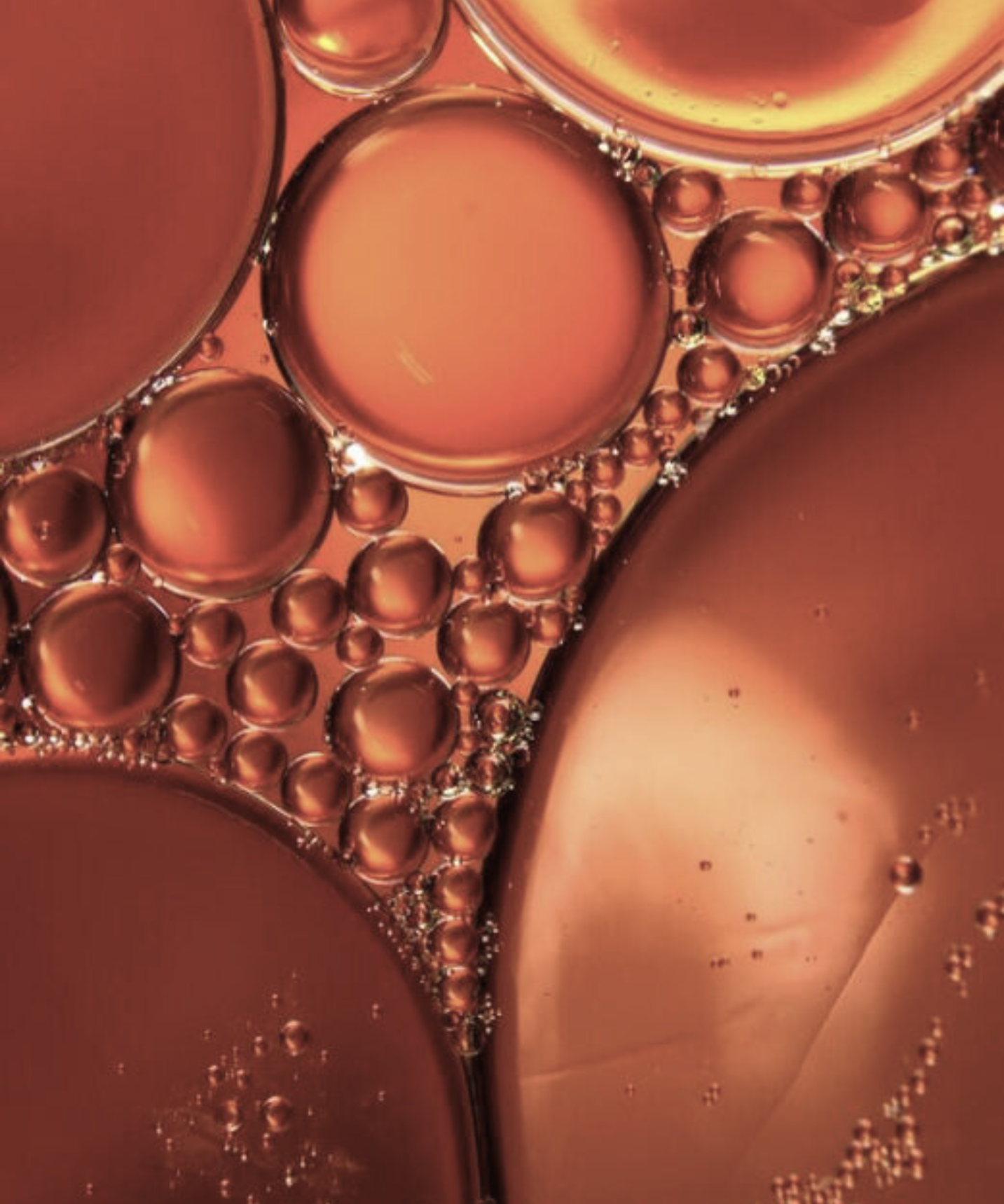 Icelandic microalgae — source of astaxanthin, the most powerful antioxidant in ANGAN skincare