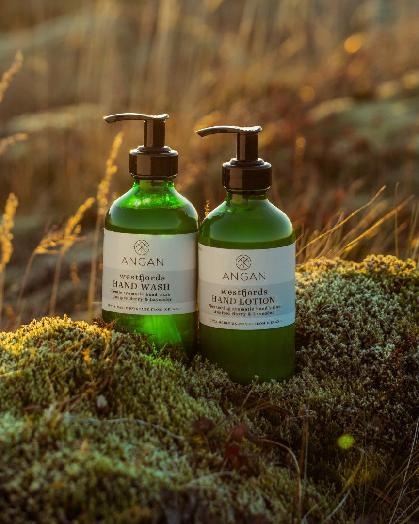 ANGAN Hand Care Duo — hand wash and lotion bottles together
