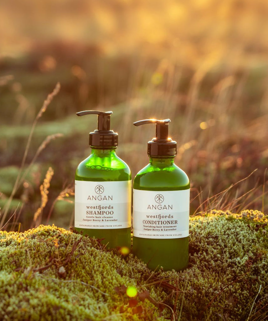 ANGAN Hair Care Duo — shampoo and conditioner bottles