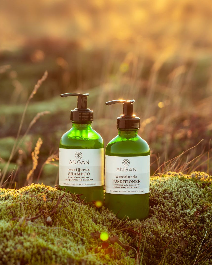 ANGAN Hair Care Duo — shampoo and conditioner bottles