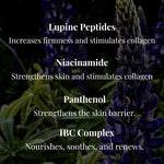 ANGAN Lupine Bloom Moisturizer — skin application, hydrated complexion
