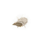 ANGAN Deep Ocean Face Mask — product on clean background