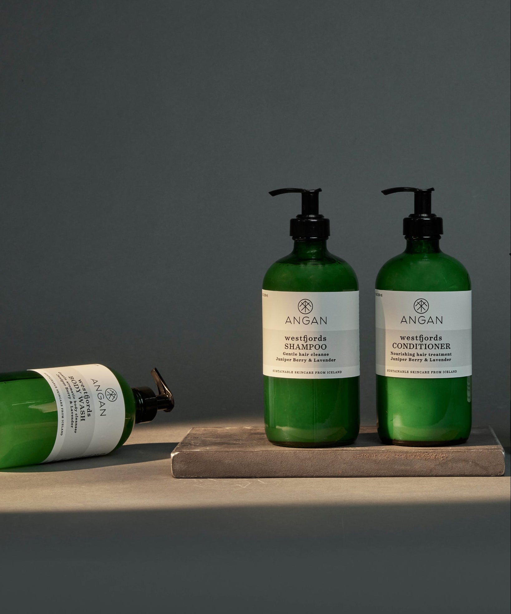 ANGAN Westfjords Conditioner — part of the Westfjords collection