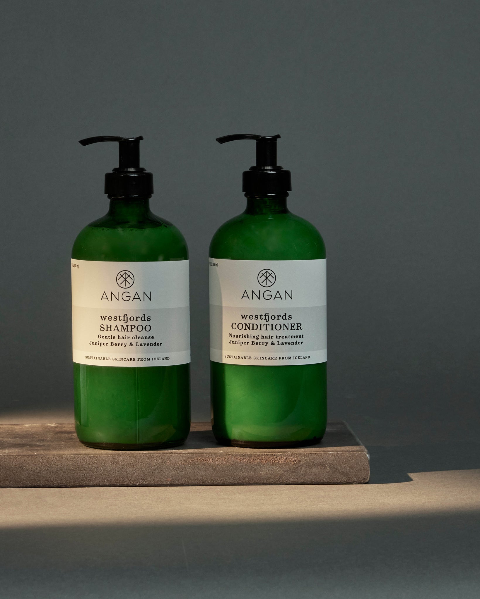 ANGAN Westfjords Shampoo and Conditioner — botanical hair care set